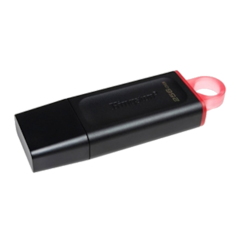 Kingston DataTraveler Exodia 256GB USB 3.2 (Gen 1) Flash Drive